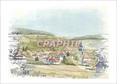 Cartes postales moderne Chablis (Yonne) L'Eglise Saint Pierre (XIIe S) Grands Crus et Premiers Crus