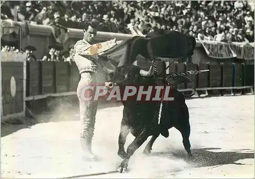 Cartes postales moderne Corrida Arles en Provence