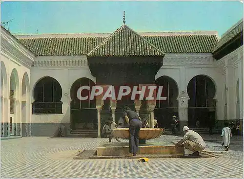 Cartes postales moderne Fes La Karouine Vasque et Pavillon aux Ablutions Bateaux