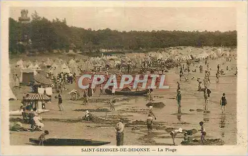 Cartes postales Saint Georges de Didonne La Plage