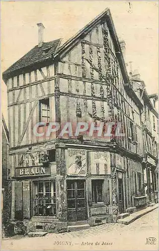 Cartes postales Joigny Arbre de Jesse