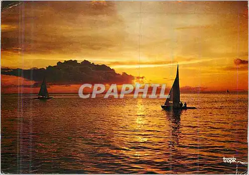 Cartes postales moderne Ile de la Martinique Coucher de Soleil sur le Baie de Fort de France