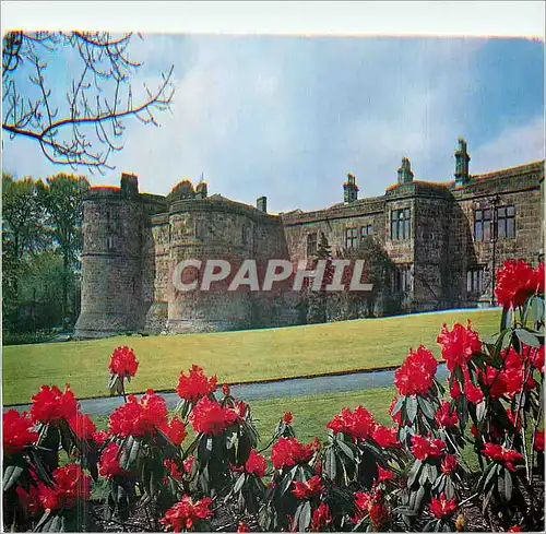 Cartes postales moderne Greeting from Skipton Castle Unknown Warrior Rhododendrons Fittingly Bloom Beside The Castle