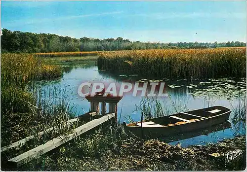 Cartes postales moderne En Sologne l'Etang