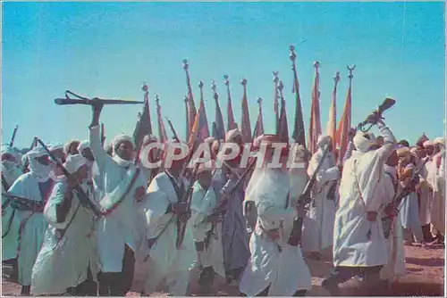 Cartes postales moderne Danses Folkloriques du Sud Algerien