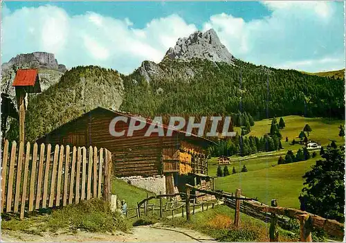 Cartes postales moderne Alpages