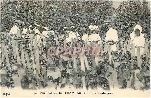 REPRO Vendange en Champagne Les Vendangeurs