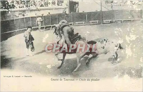 Cartes postales Course de Taureaux Chute du Picador