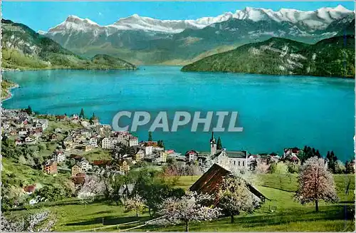 Cartes postales Weggis am Vierwaldstattersee