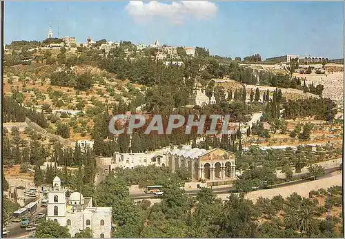 Cartes postales moderne Jerusalem Jardin de Gethsemani