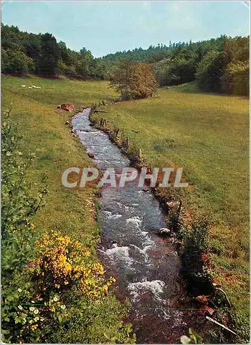 Cartes postales moderne Eaux Vives dans la Douce Nature