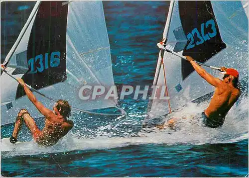 Cartes postales moderne Planche a voile