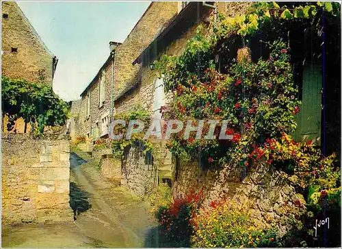 Cartes postales moderne Domme (Dordogne) Couleurs et Lumiere de France Une Vieille Rue Fleurie