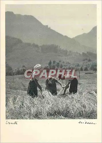 Cartes postales moderne Kornernie Im Inntal