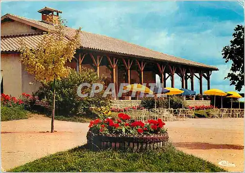 Cartes postales moderne Lugny (S et L)Cave Cooperative Le caveau St Pierre