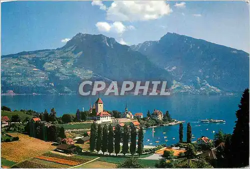 Cartes postales moderne Switzerland  Spiez am Thunersee Rothorn Niederhorn