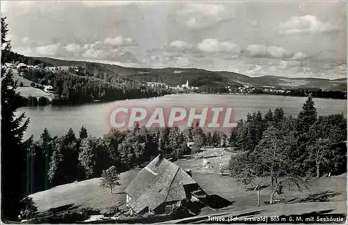 Cartes postales moderne Titisee (Schwarzwald)885 m u mit Sechausle