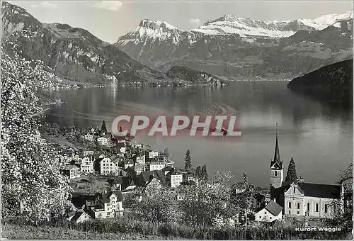 Cartes postales moderne Weggs mit Nieder and Oberbauen Suisse