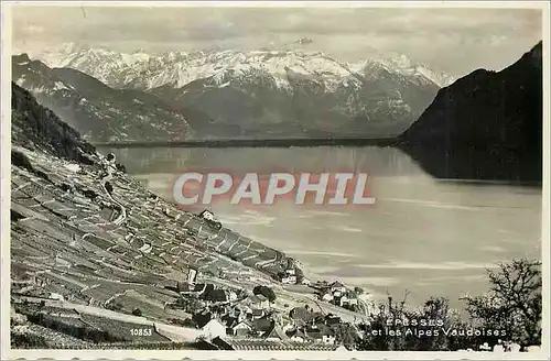 Cartes postales moderne Epesses et les Alpes Vaudoise