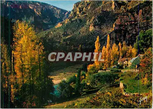 Cartes postales moderne Couleurs et Lumiere de France Les Gorges du Tarn(Lozere)Entre la Malene et le Cirque des Baumes