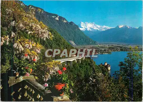 Cartes postales moderne Suisse Montreux autoroute de Leman Chateau de Chillon Villeneuve et les Dents du Midi