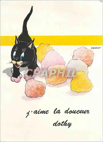 Cartes postales moderne J aime la douceur dothy  Chat