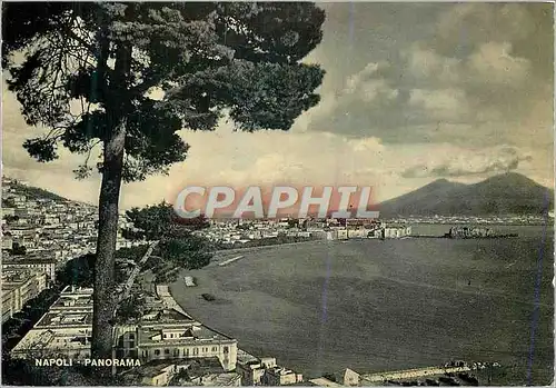 Cartes postales moderne Napoli Panorama