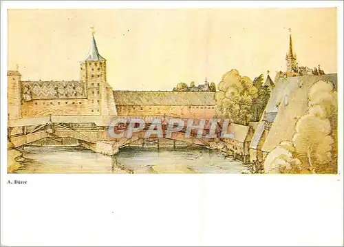 Cartes postales moderne Zurich Walter Classen Kunstverlag Durer (Albertina)