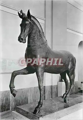 Cartes postales moderne Museo Nazionale di Napoli Chevau de Bronze de Ercalano