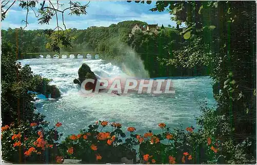 Cartes postales moderne Rheinfall (Schweiz)