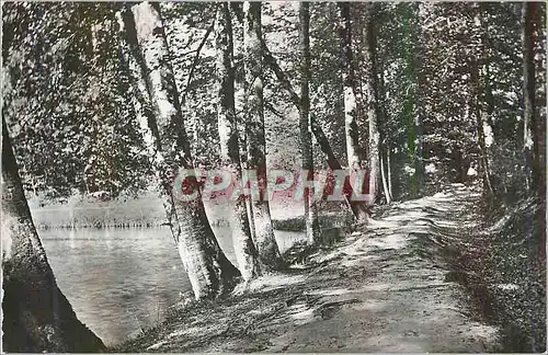 Cartes postales moderne Foret de Belleme (Orne) La Herse