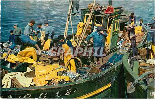 Cartes postales moderne Bateau de peche