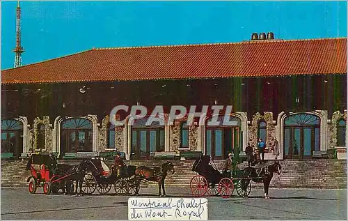 Cartes postales moderne Montreal Canada Mount Royal Lookout Chalet