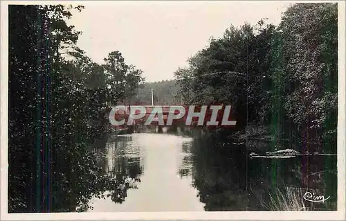 Cartes postales moderne Mimizan le Foret (Landes) Le Pont des Trounques