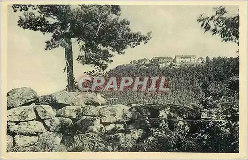 Cartes postales moderne Mont Ste Odile (alt 763 m)