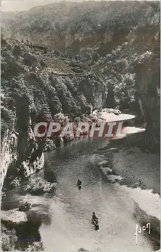 Cartes postales moderne Gorges du Tarn Environs de la Malene (Lozere) Les Detroits