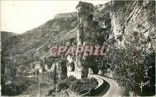 Cartes postales moderne Les Gorges du Tarn Pougnadoires (Lozere) La Tour Eiffel