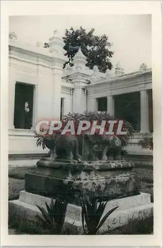 CARTE PHOTO Tourane 1951 Elephant