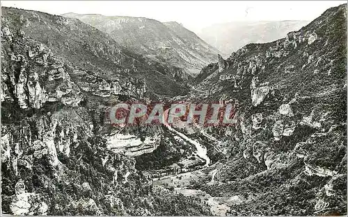 Cartes postales moderne Les Gorges du Tarn Le Point Sublime