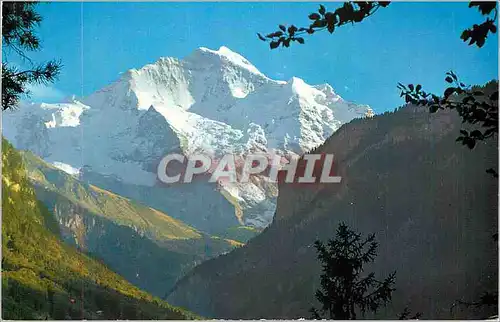 Cartes postales moderne Jungfrau