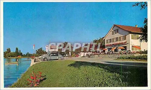 Cartes postales moderne Hotel Cafe Seestern Berlingen