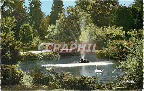 Cartes postales moderne Vichy Allier Reine des Villes d Eaux Dans les Grands Parcs