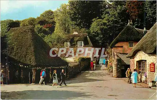 Cartes postales moderne Torquay Cockington Force