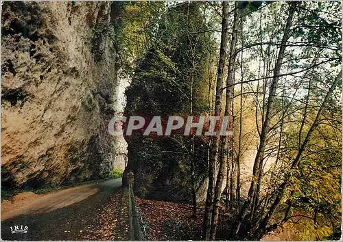 Cartes postales moderne Les Eyzies Vallee de la Vezere La Dordogne Pittoresque Le pas du Miroir