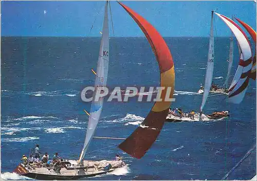 Cartes postales moderne Bateau Voilier