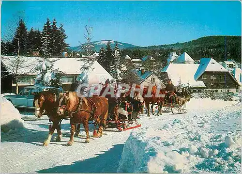 Cartes postales moderne Pferdeschlitten im Winterlichen Hochschwarzwald