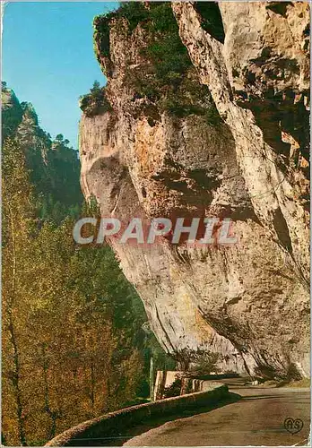 Cartes postales moderne En Parcourant les Gorges du Tarn la Route Longeant le Tarn