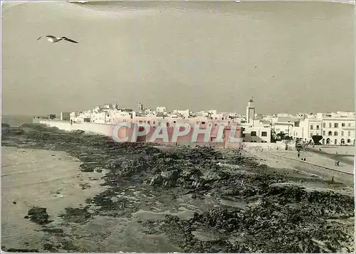 Cartes postales moderne Essaouira