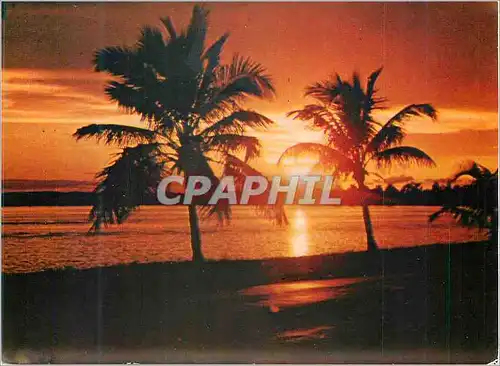 Cartes postales moderne Maroc Coucher de Soleil