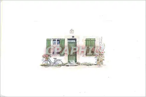 Cartes postales moderne Fenetres de Dentelle Marguerites en Festons